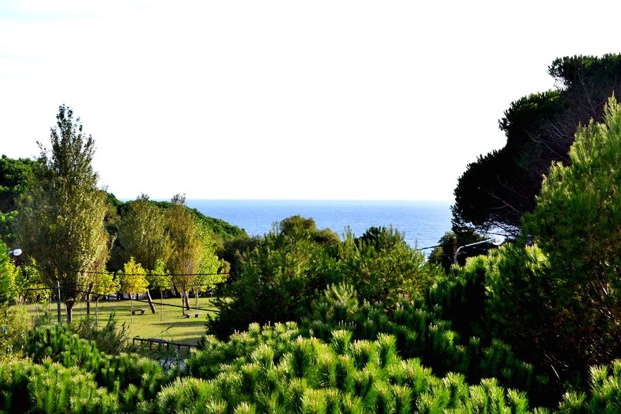 Duerming Montalvo Playa Hotel Luaran gambar